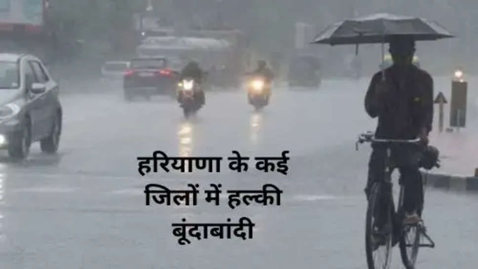 Haryana Weather: हरियाणा के कई जिलों में हल्की बूंदाबांदी कोहरे से मिली राहत ठंड में दिखी बढ़ोतरी