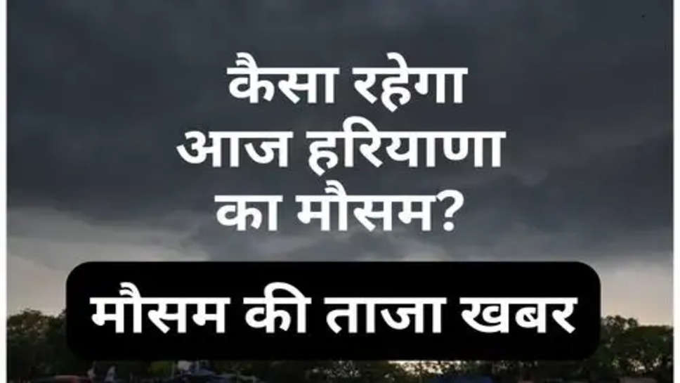 Today Haryana Weather : कैसा रहेगा आज हरियाणा का मौसम?
