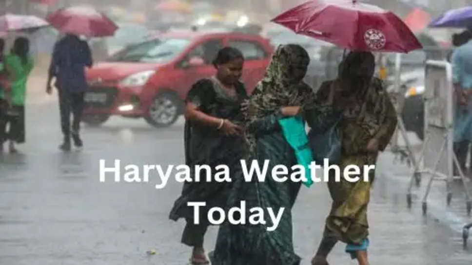 Haryana Weather Today: दिल्ली समेत हरियाणा पंजाब राजस्थान में भी बदला मौसम, तेज हवा के साथ झमाझम बारिश ने दी दस्तक