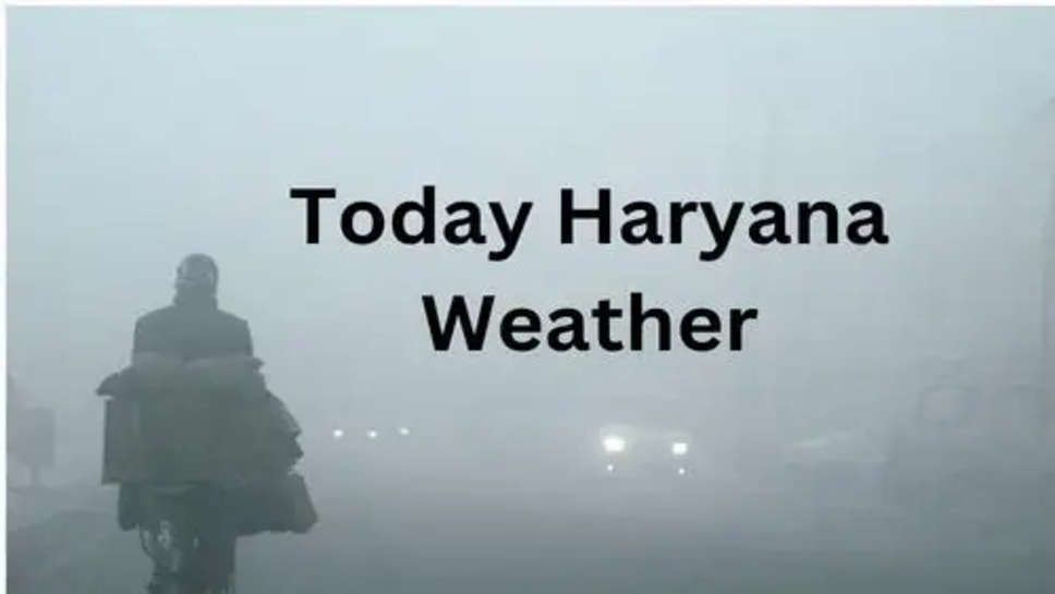 Today Haryana Weather Update: हरियाणा में निकली धूप लेकिन असली ठंड अभी बाकी, क्या कहता है अगले कुछ दिनों का मौसम