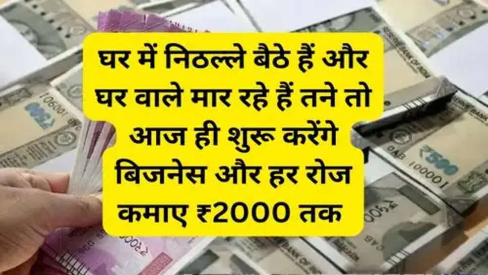 Success Business Idea: घर में निठल्ले बैठे हैं और घर वाले मार रहे हैं तने तो आज ही शुरू करेंगे बिजनेस और हर रोज कमाए ₹2000 तक 