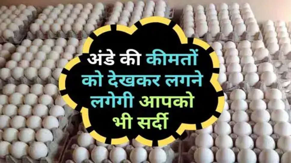 Price of Eggs : अंडे की कीमतों को देखकर लगने लगेगी आपको भी सर्दी 